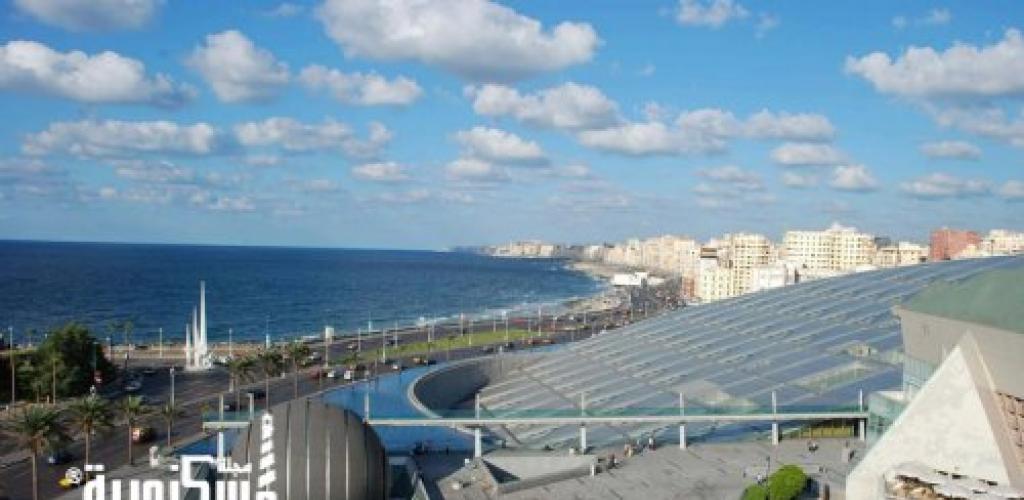 ساحة الحضارات بمكتبة الإسكندرية... منارة السلام 12 شجرة زيتون تزيّن قلب "ساحة الحضارات" في عروس البحر