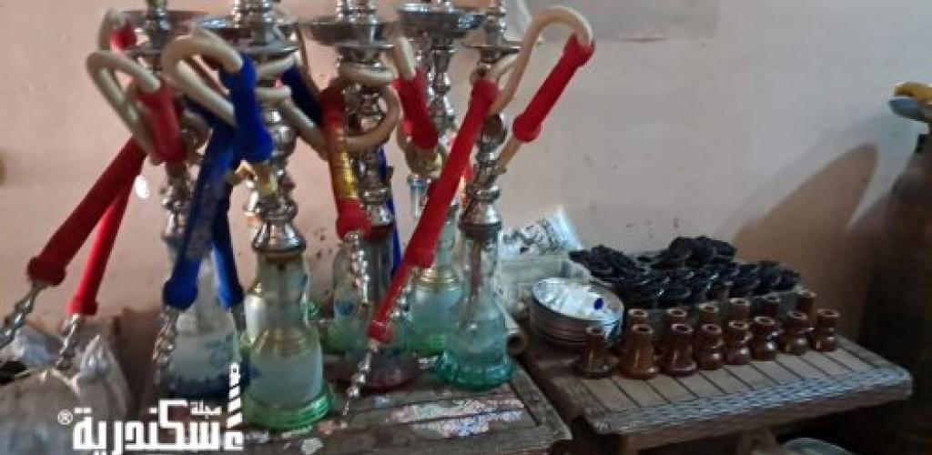 حى العجمى...إدارة شئون البيئة تواصل حملات التفتيش البيئي علي المقاهى والمخابز والمطاعم بنطاق الحى
