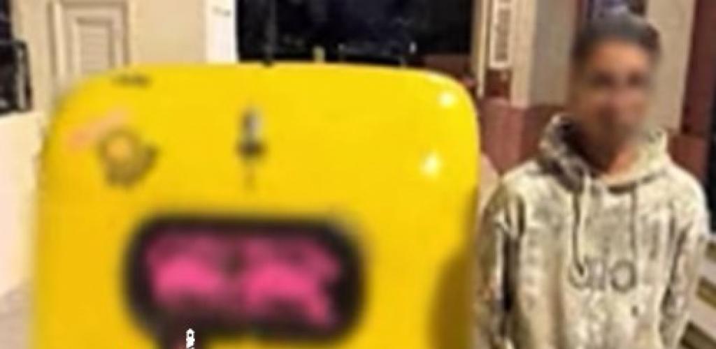 استجابة لفيديو متداول.. أمن الإسكندرية يضبط "سائق التوك توك" الهارب بالمنتزه
