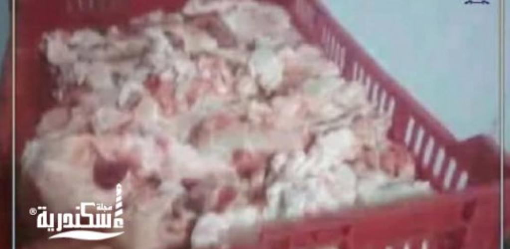 محافظ الإسكندرية: ضبط أكثر من ١١ طن مصنعات لحوم غير صالحة للاستخدام الآدمي داخل منشأة غير مرخصة