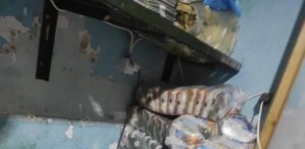 «بأختام مزورة وثلاجة غير مرخصة».. ضبط لحوم بلدي ومواد غذائية مجهولة المصدر بالإسكندرية
