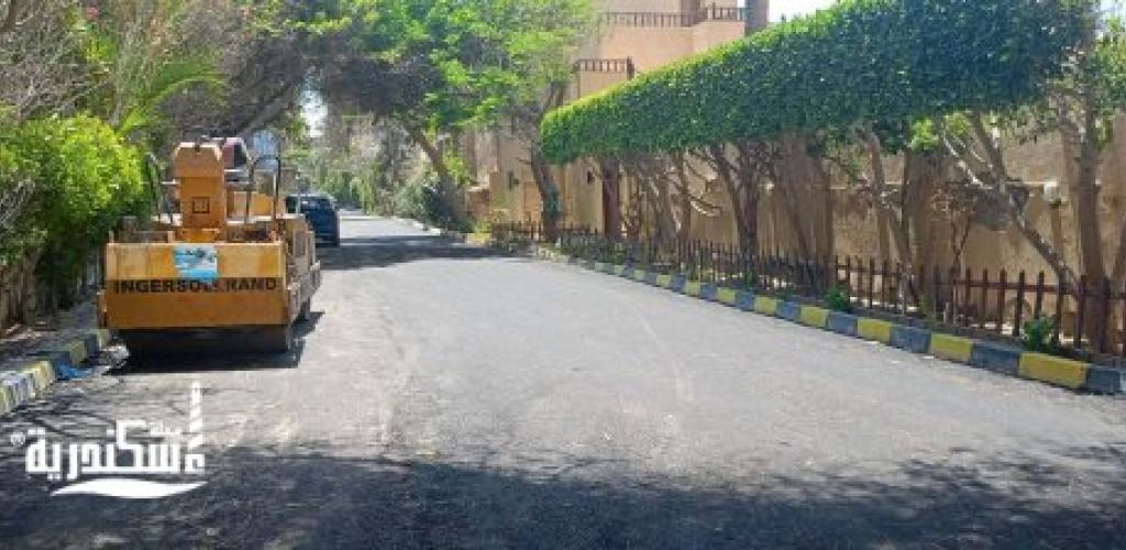 استجابة للأهالي.. حي العجمي يواجه التلوث السمعي ويتابع الخطة الاستثمارية بالطرق