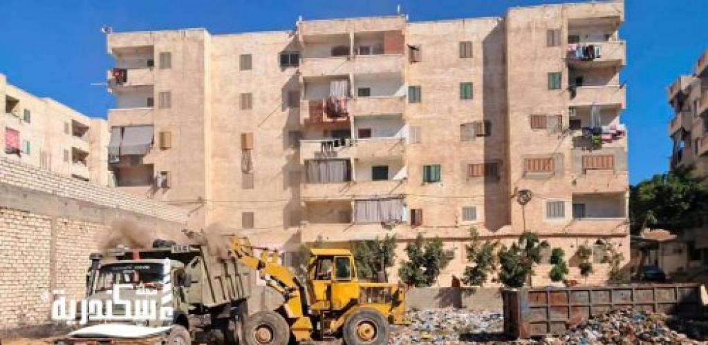 استجابة فورية للأهالي.. رئيس حي العجمي تقود حملة لتطهير مساكن الكيلو 26 وقرية النخيل