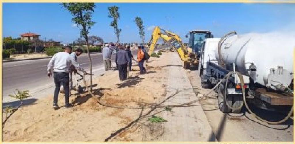 الإسكندرية تتزين بالبوانسيانا والجاكرندا.. تواصل أعمال المرحلة الرابعة من المبادرة الرئاسية للتشجير