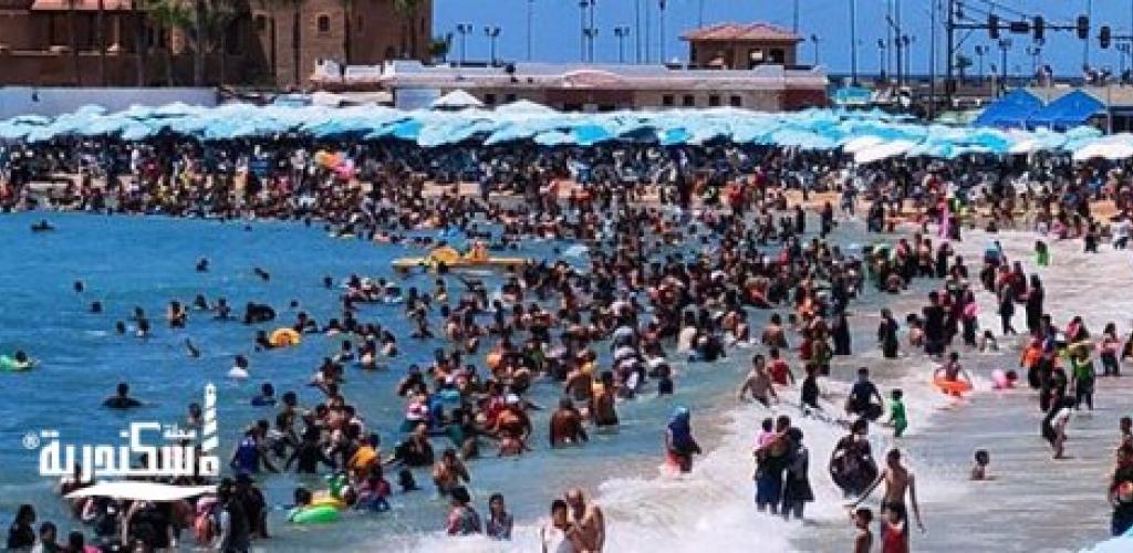 نسب إشغال شواطئ الإسكندرية: رايات خضراء وصفراء وحالة البحر مستقرة صباح اليوم