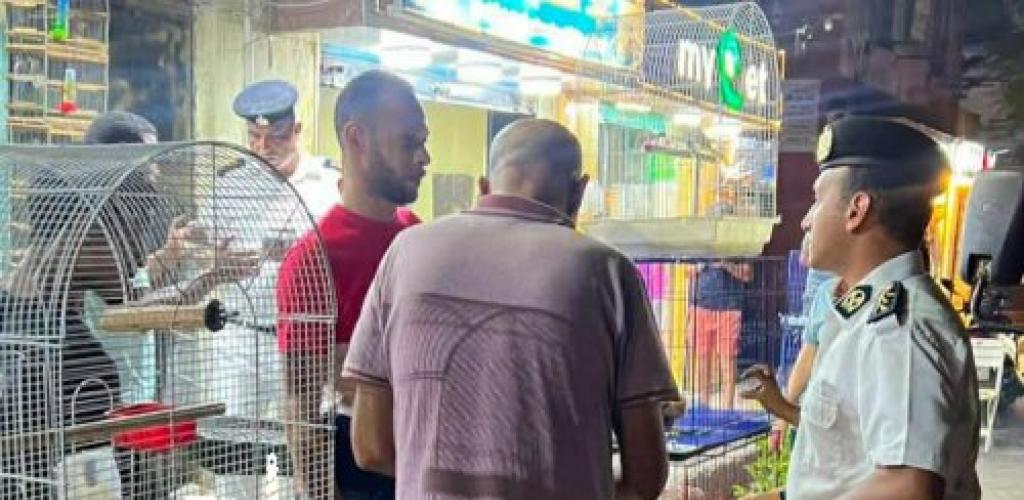 حملات مكثفة لإزالة الإشغالات وضبط الشارع في حي شرق الإسكندرية
