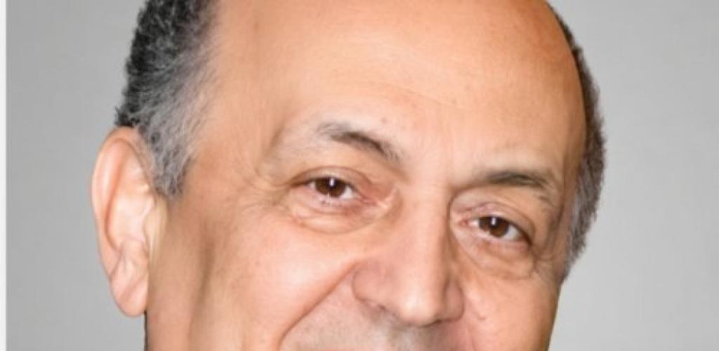 الأستاذ الدكتور محمد وجيه يكتب هجرة أبطال المصارعة.. رؤية لغلق ثغرات هجرة أبطالنا وتجفيف منابع التسريب