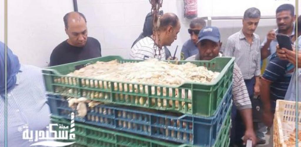 ضبط 1.450 طن من اللحوم والدواجن والتوابل غير الصالحة للاستهلاك داخل منشأة مخالفة بحي الجمرك