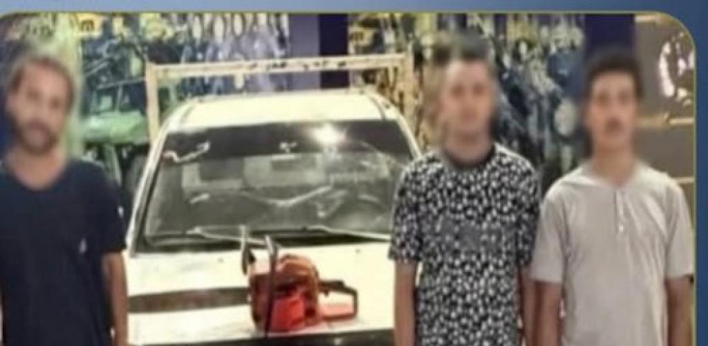 ضبط متهمين بقطع وتهريب أشجار بالإسكندرية بعد تداول فيديو الواقعة