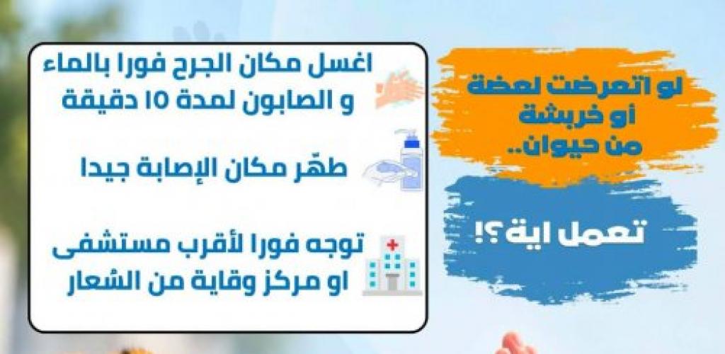 بالتزامن مع اليوم العالمي للسعار.. "صحة الإسكندرية" تنشر إرشادات التعامل الفوري مع العقر وتحدد مراكز تلقي العلاج