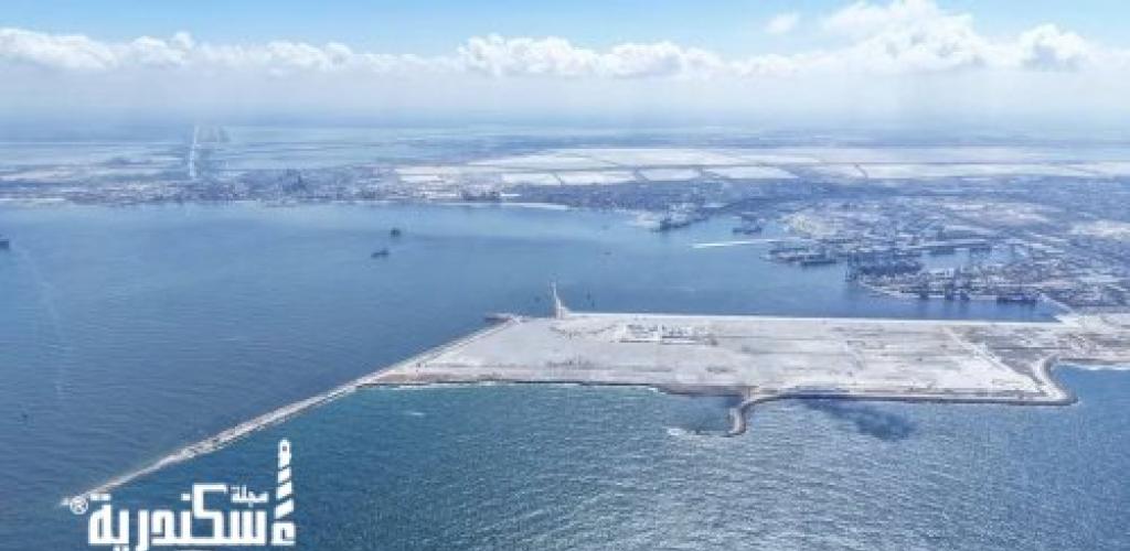 مشروع إنشاء محطة تحيا مصر 2 متعددة الأغراض على رصيف 100 بميناء الدخيلة