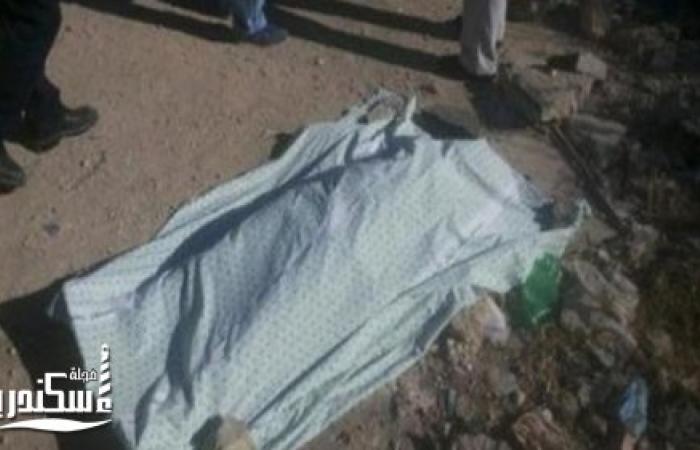 أمن الإسكندرية يكثف جهوده لكشف غموض العثورعلى جثة شخص " مجهول" بحديقة شارع المكس