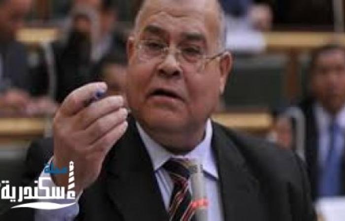 رئيس حزب الجيل يشيد بسياسات مصر الخارجية