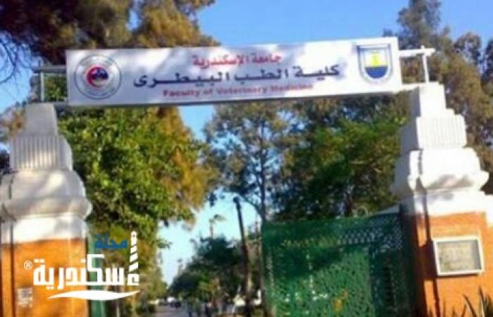 كليتى الطب البيطري والتمريض جامعة الإسكندرية ضمن أفضل عشر كليات عربياً