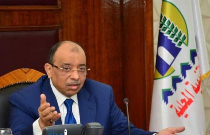 محمود بريك رئيس حى الجمرك الإسكندرية