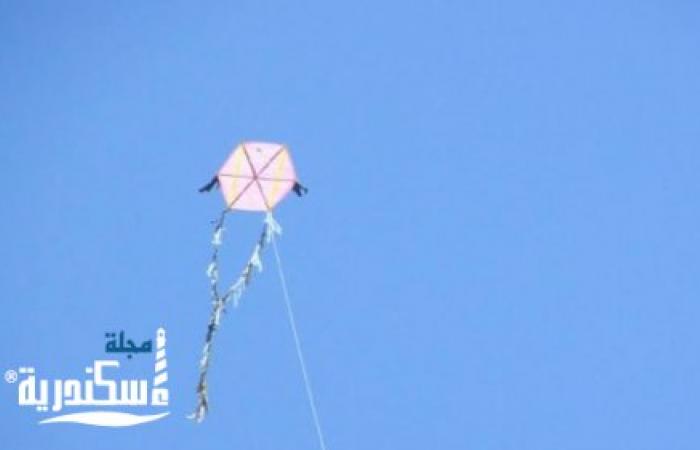 محافظ الإسكندرية يحظر استخدام الطائرات الورقية بطريق الكورنيش ..غرامة على المخالفين