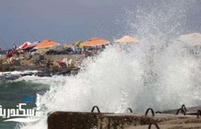 محافظة الإسكندرية تحذر المواطنين من خطورة نزول البحر فجرا أو ليلا