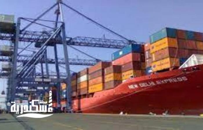 جمارك الإسكندرية.... تفرج عن سلع وبضائع وأسمدة بـ6.8 مليار جنيه في أبريل