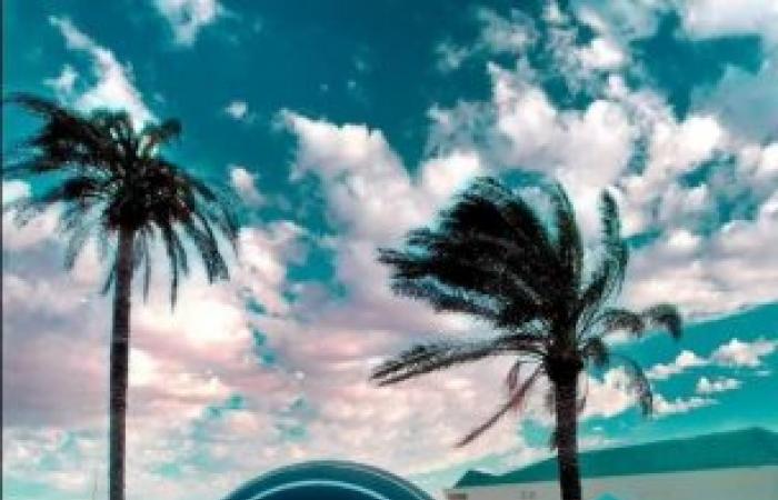 رحلة داخل كتاب "أشياء في حياة العلماء"في برنامج بمكتبة الإسكندرية