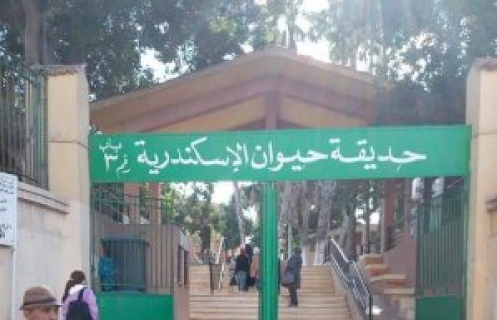 تتفسح فين : عنوان وأسعار تذاكر ومواعيد دخول وتليفون حديقة الحيوان بالإسكندرية