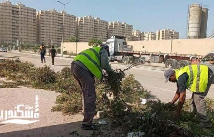 رفع 15 ألف طن قمامة من شوارع الإسكندرية