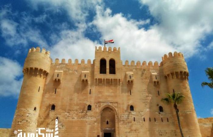 «التنشيط السياحي» تستقبل الأفواج القادمة لميناء الإسكندرية بالورود
