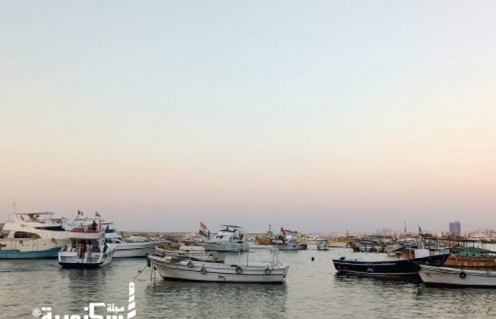 تعرف على واحدة من أقدم مناطق الإسكندرية  " حي بحري"