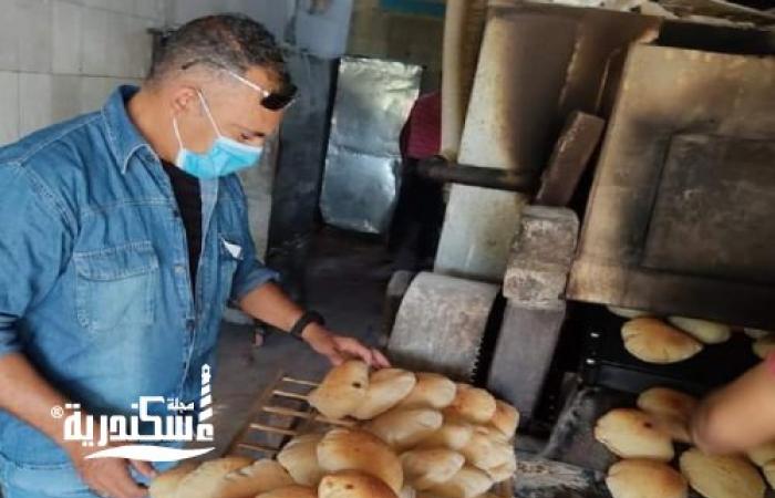 تموين الإسكندرية.... تفاجئ 8 إدارات وتحرر 415 محضرًا