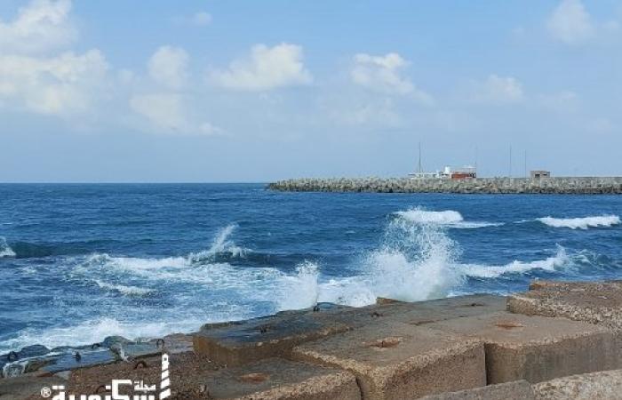 أجواءً خريفية مستقرة على الشواطئ بالاسكندرية