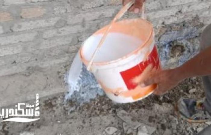 "زراعة الإسكندرية": رش المبيدات بقرى بنجر السكر للحد من انتشار النمل الأبيض