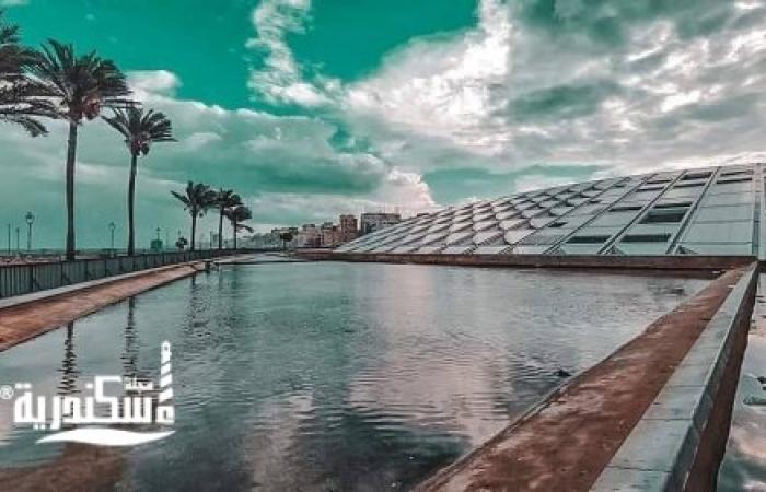 مكتبة الإسكندرية : فتح باب التسجيل لبرنامج الماجستير فى الدراسات الهلينستية