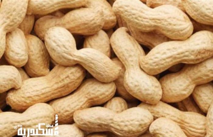 تموين وسط... حيازة كمية ٥ طن فول سوداني مجهول المصدر