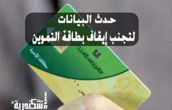 تموين الإسكندرية... تخصص 7 مراكز متطورة لاستقبال المواطنين تجنبًا لوقف البطاقة