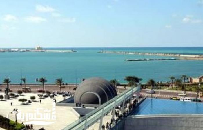مسرح مكتبة الإسكندرية يستضيف منافسات البطولة العربية لكمال الأجسام