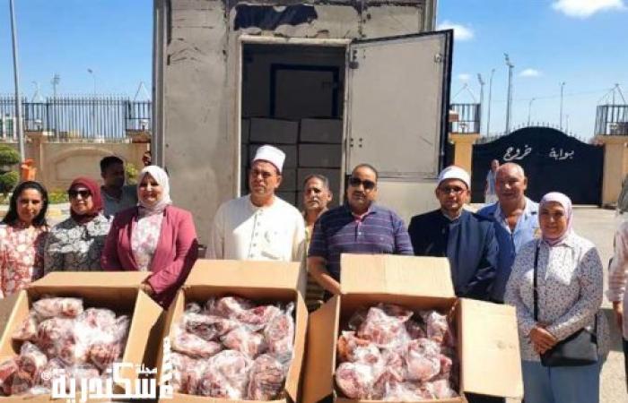 «أوقاف الإسكندرية» تتسلم الدفعة الـ16 من لحوم «صكوك إطعام 2022».. والحصيلة تصل لـ53 طنا