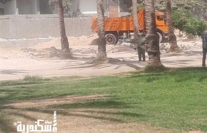 «زراعة الإسكندرية»: فحص ورش نخيل «أنطونيادس» ضد حشرة السوسة الحمراء