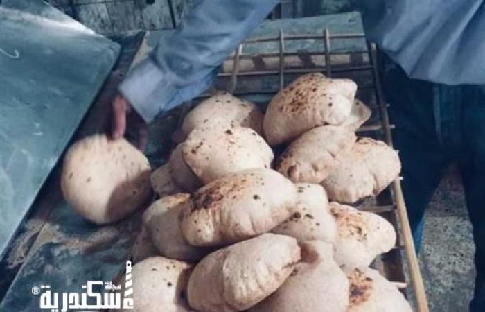 «مخابز مخالفة وإخفاء الأسعار».. «تموين الإسكندرية» تضبط 359 مخالفة بـ8 إدارات