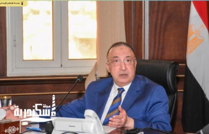 محافظ الإسكندرية يكلف بدراسة الاستخدام الأمثل للمنطقة أسفل كوبرى ستانلي