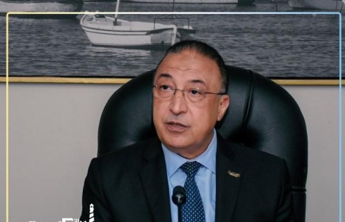 محافظ الإسكندرية: إقبال كثيف على مراكز تراخيص المحال العامة طباعة
