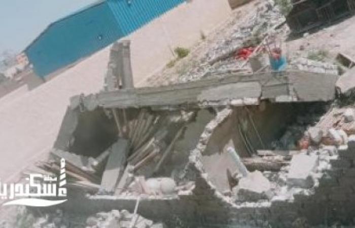 أحياء الإسكندرية....حملات مكبرة لإزالة التعديات على الزراعات وإيقاف أعمال البناء