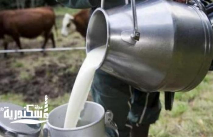 شعبة منتجي الألبان في الغرفة التجارية......القطاع يشهد «ردة طبيعية» في السوق يقابله ارتفاع في الأسعار