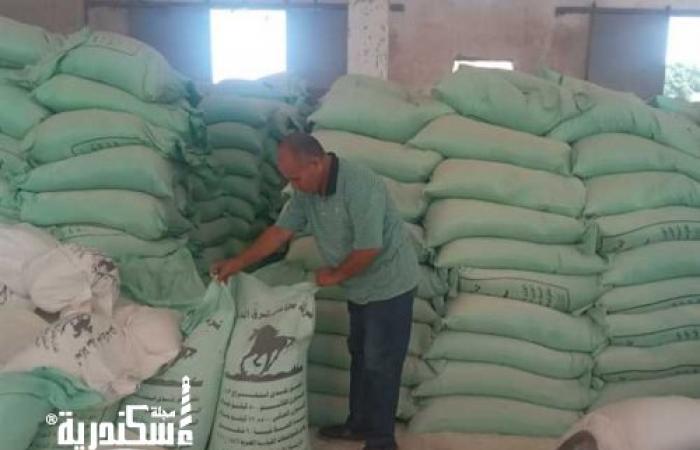"تموين الإسكندرية": التحفظ على 2 طن دقيق حر وهوالك حلويات مجهولة المصدر