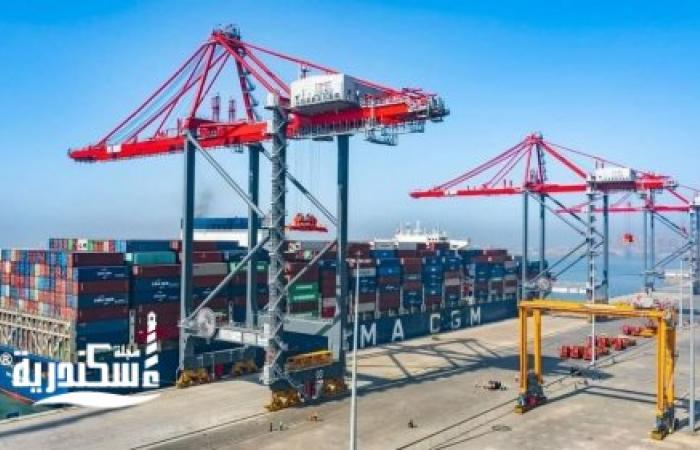 محطة تحيا مصر بميناء الإسكندرية.. تحافظ على البيئة وأول محطة ذكية تعمل بالتكنولوجيا الحديثة لشحن وتداول البضائع