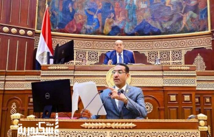 «الشيمي عضو الشيوخ» السيسي حقق انجازات علي ارض الواقع ودعمه من اجل الوطن.