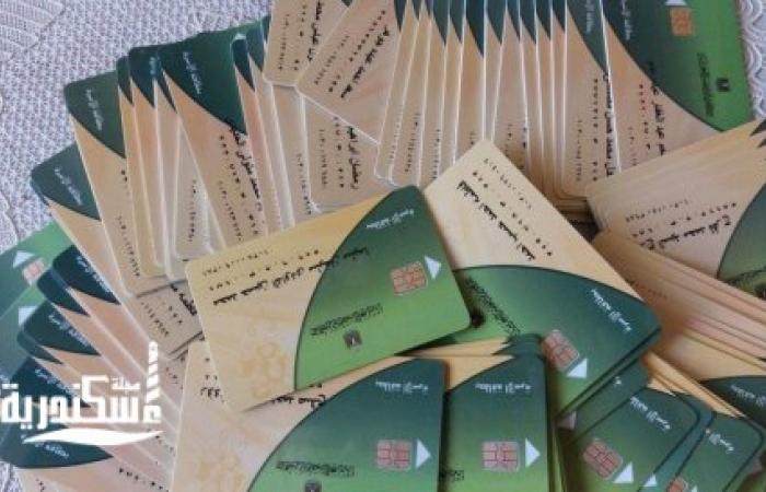 تموين الإسكندرية....ضبط 74 بطاقة تموينية داخل أحد المخابز البلدية