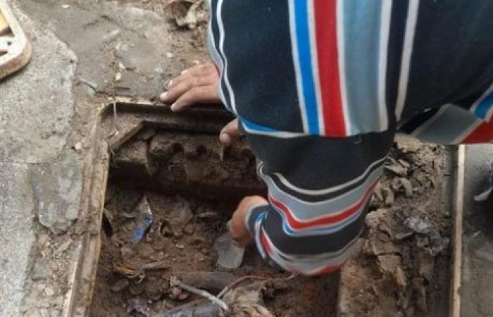محافظة الإسكندرية تحسن نظام الكهرباء في سيدي بشر بحري