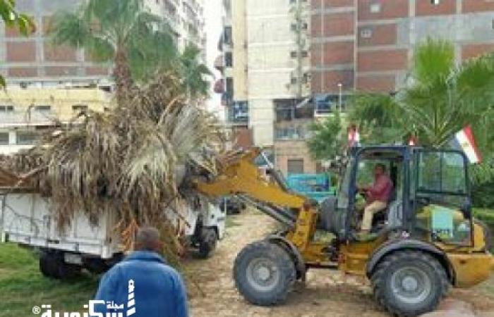 تنسيق بين إدارة الآثار بالإسكندرية وحى الجمرك لرفع المخلفات الزراعية وتنسيق الحدائق بمنطقة آثار كوم الناضورة
