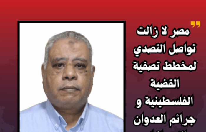 المستشار محمد محارب :  مصر لا زالت تواصل التصدي لمخطط تصفية القضية الفلسطينية و جرائم العدوان الإسرائيلي