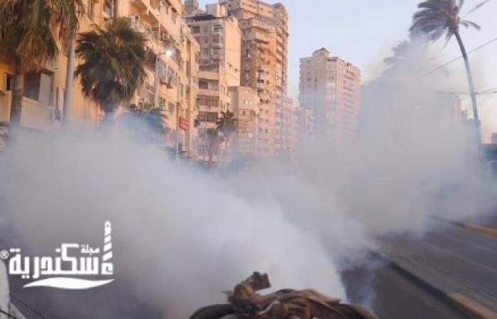 حي الجمرك.....استمرار حملات رش الحشرات والبعوض