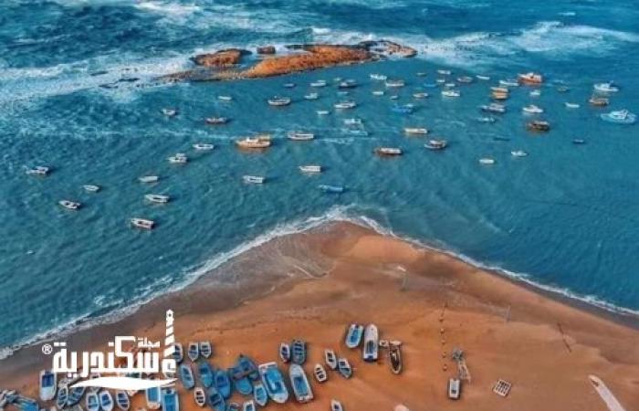 تحذير من "ملتم أغسطس": شواطئ الإسكندرية تغلق أبوابها حفاظاً على سلامة المواطنين